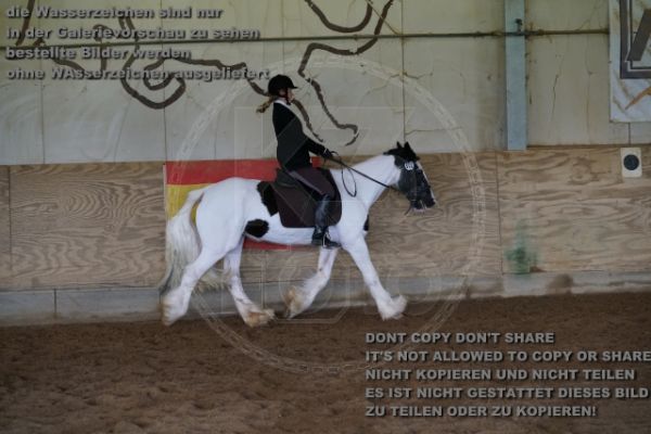 s_K3F04242.JPG